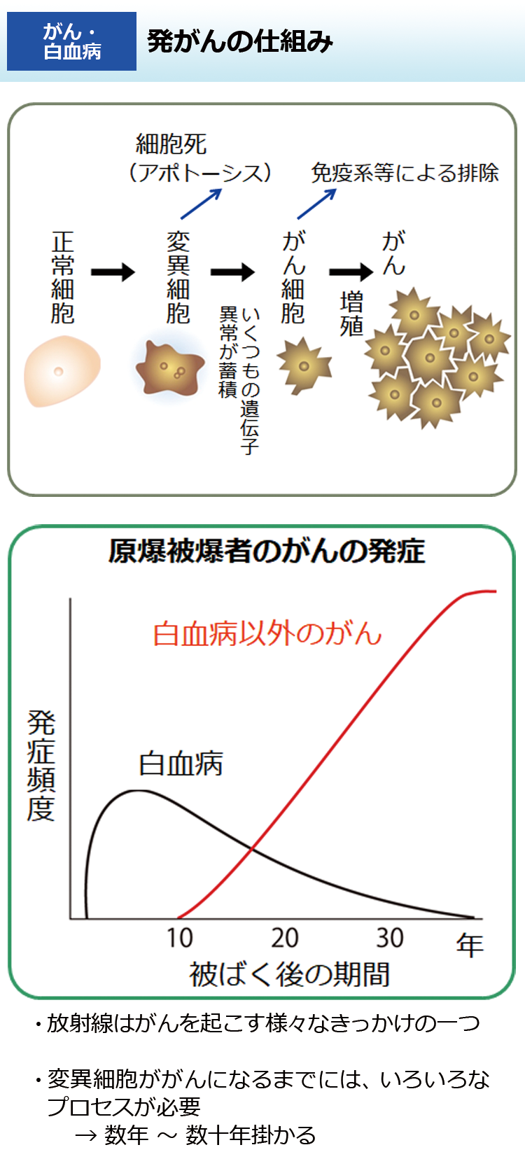 発がんの仕組み