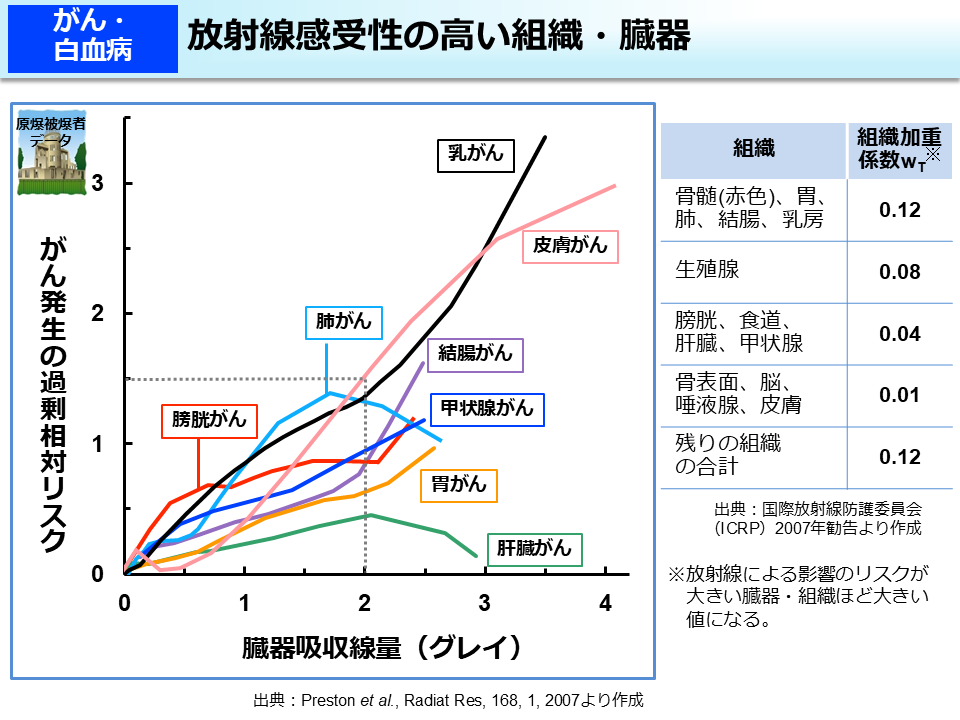 放射線感受性の高い組織・臓器