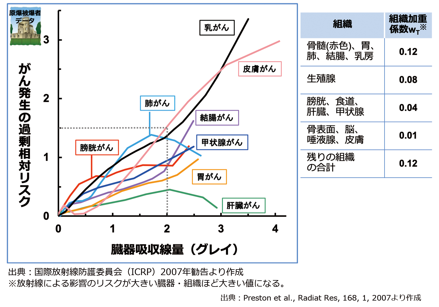 放射線感受性の高い組織・臓器