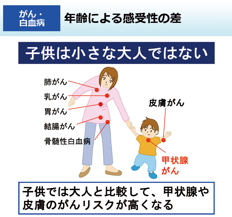年齢による感受性の差