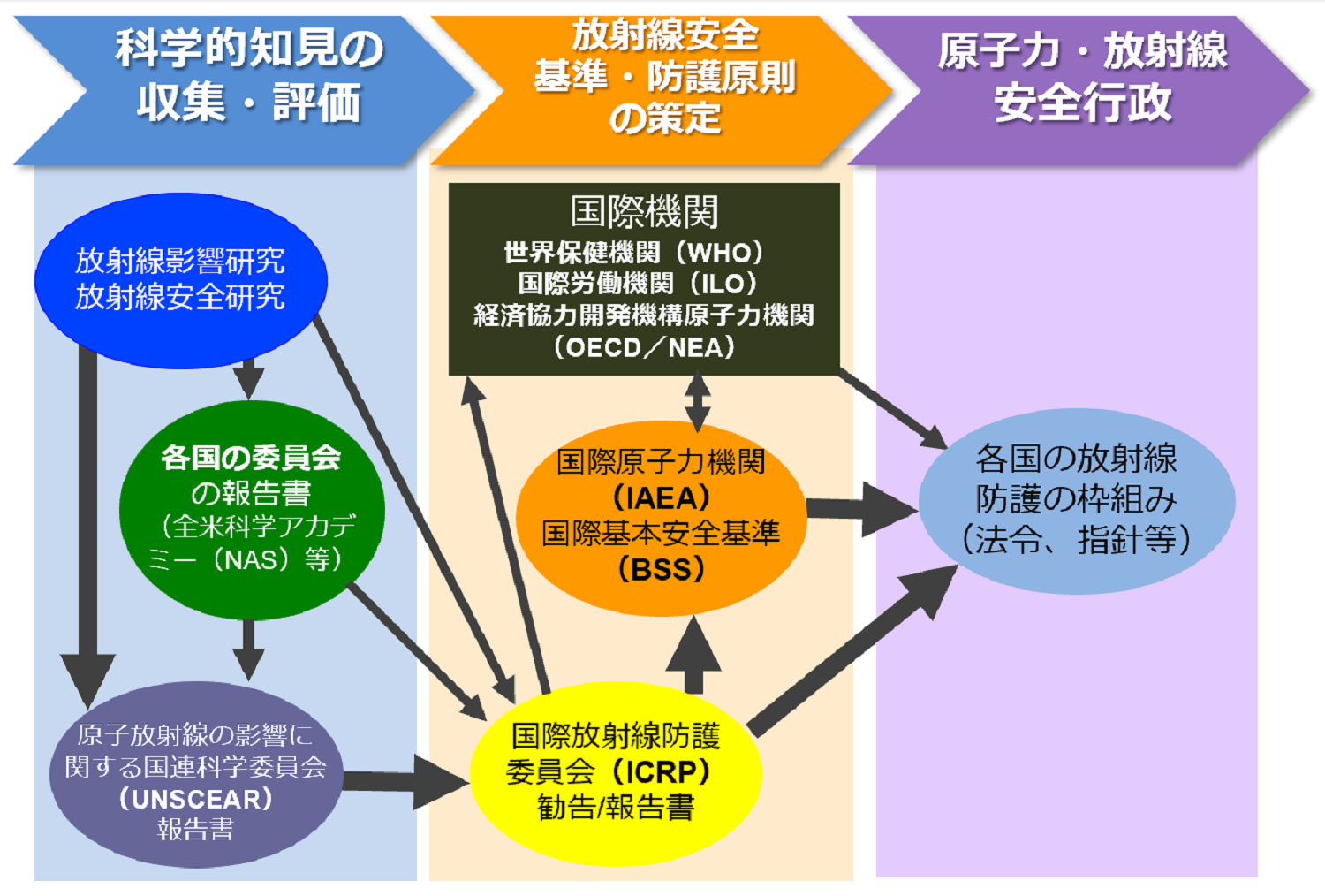 放射線防護に関わる国際的な枠組み