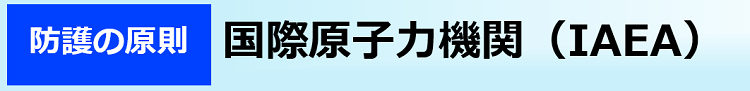 国際原子力機関（IAEA）