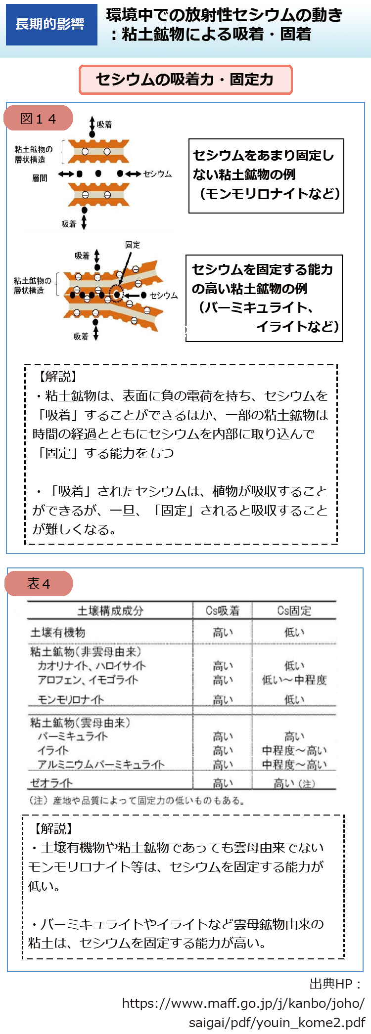 環境中での放射性セシウムの動き：粘土鉱物による吸着・固着