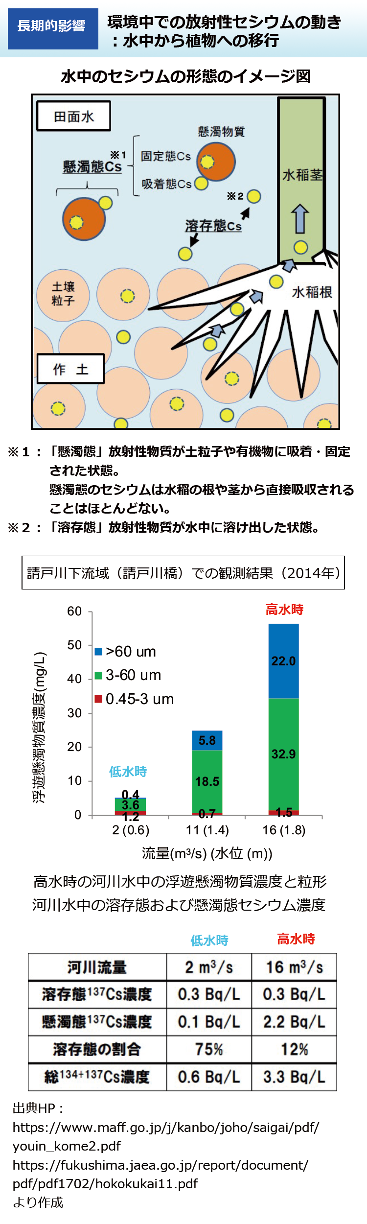 環境中での放射性セシウムの動き：水中から植物への移行