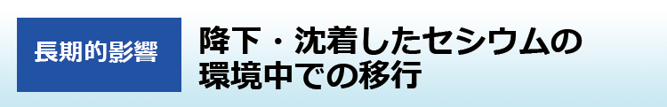 降下・沈着したセシウムの環境中での移行