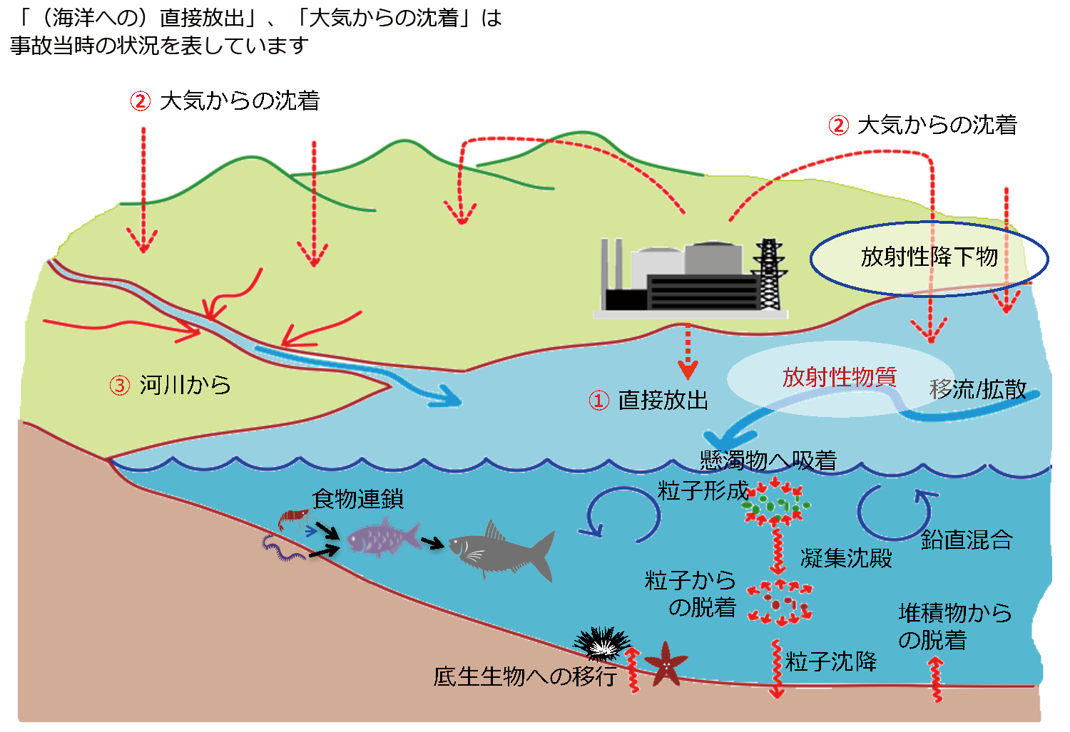 海洋中の放射性セシウムの分布