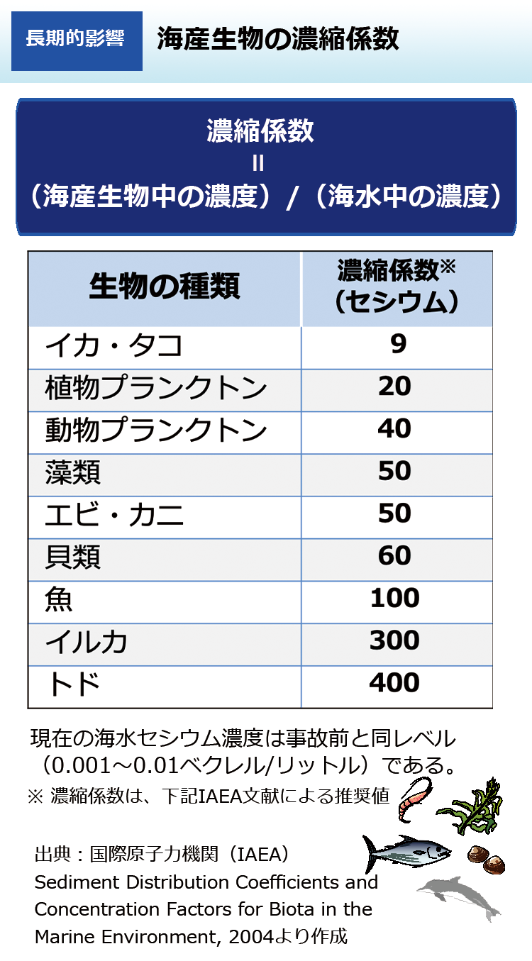海産生物の濃縮係数
