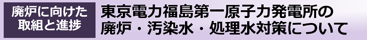 東京電力福島第一原子力発電所の廃炉・汚染水・処理水対策について