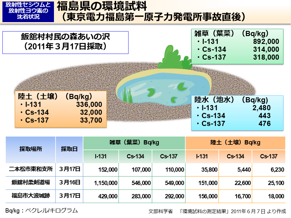 福島県の環境試料（東京電力福島第一原子力発電所事故直後）