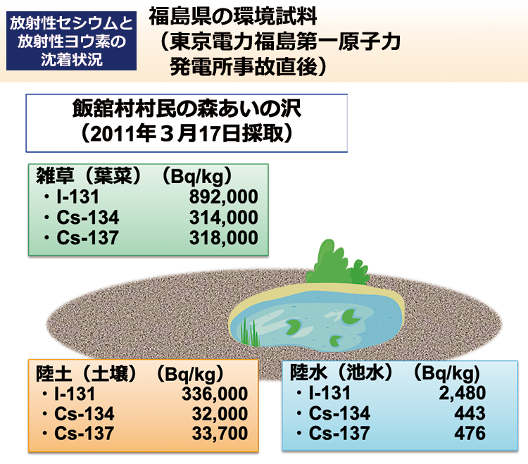 福島県の環境試料（東京電力福島第一原子力発電所事故直後）