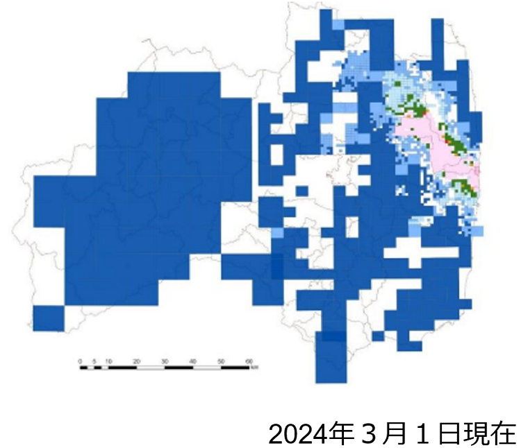 森林の空間線量率の変化