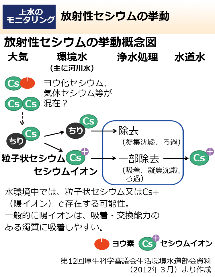 放射性セシウムの挙動