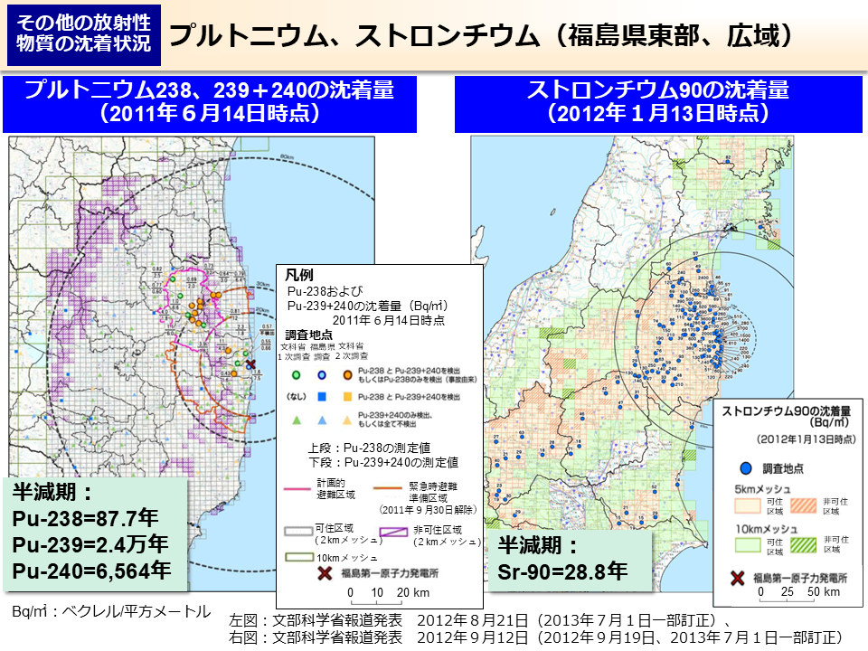 プルトニウム、ストロンチウム（福島県東部、広域）