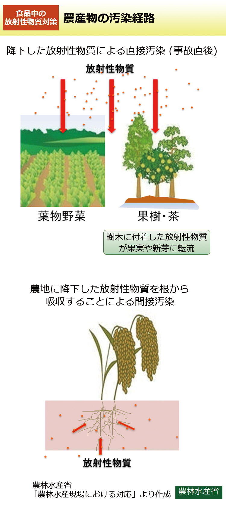農産物の汚染経路