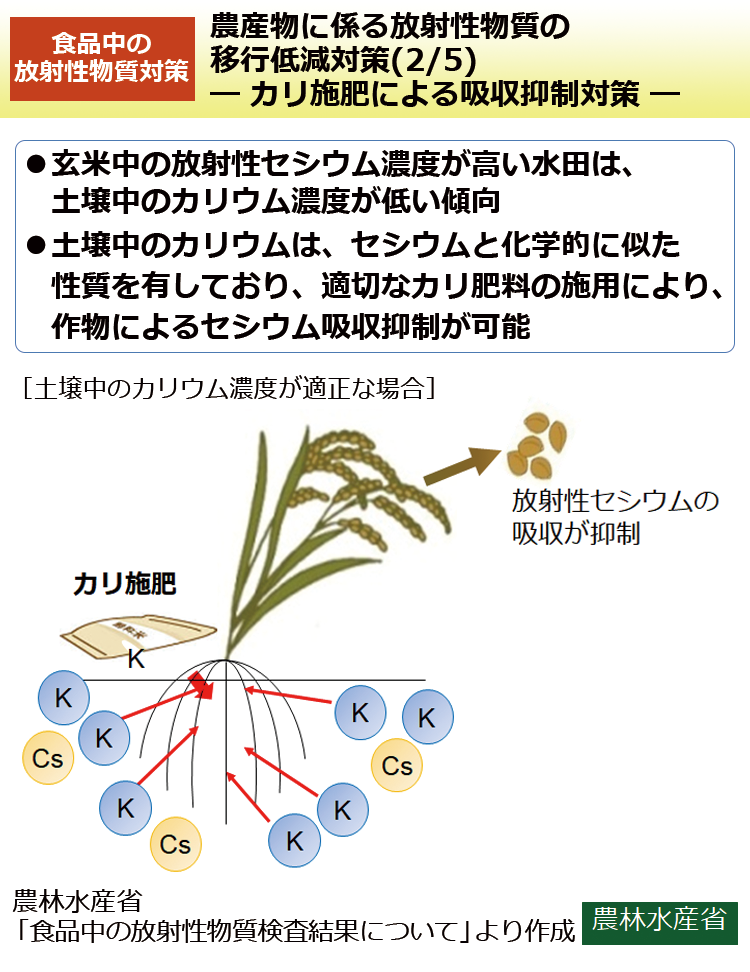 農産物に係る放射性物質の移行低減対策(2/5)－カリ施肥による吸収抑制対策－