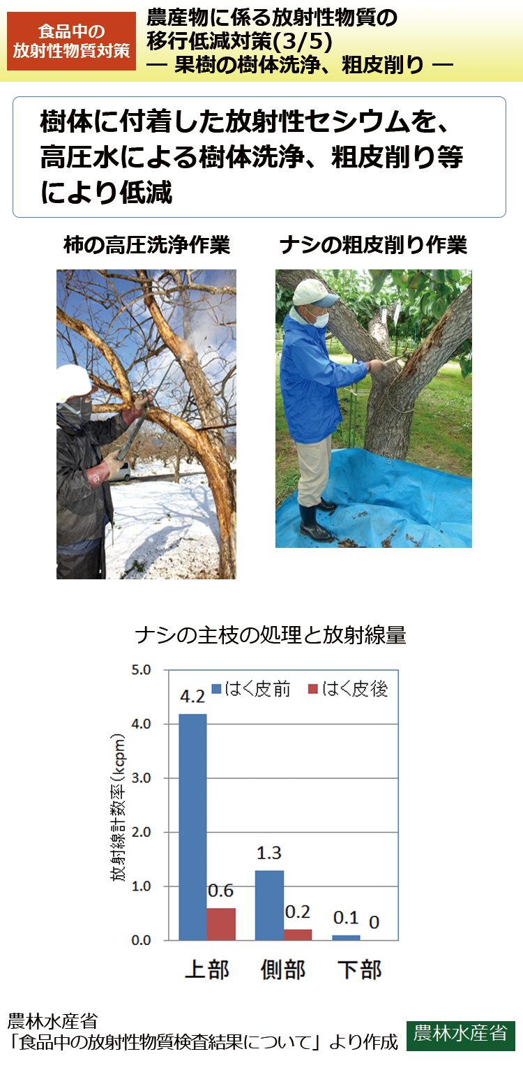 農産物に係る放射性物質の移行低減対策(3/5)－果樹の樹体洗浄、粗皮削り－