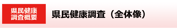 県民健康調査（全体像）
