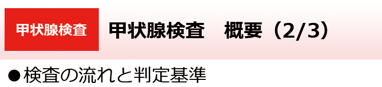 甲状腺検査　概要（2/3）