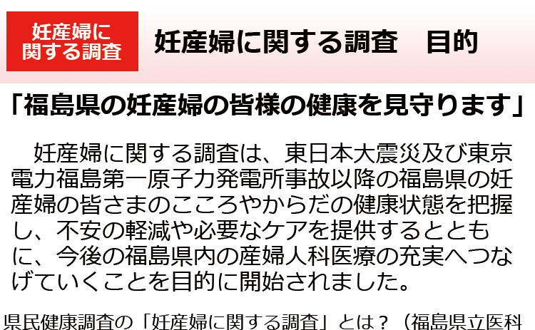 妊産婦に関する調査　目的
