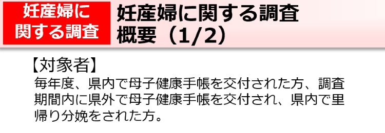 妊産婦に関する調査　概要（1/2）