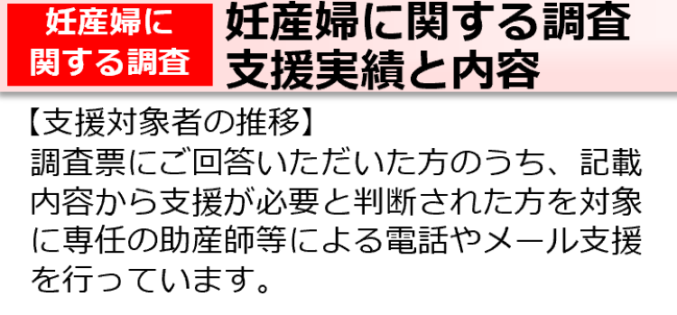 妊産婦に関する調査　支援実績と内容