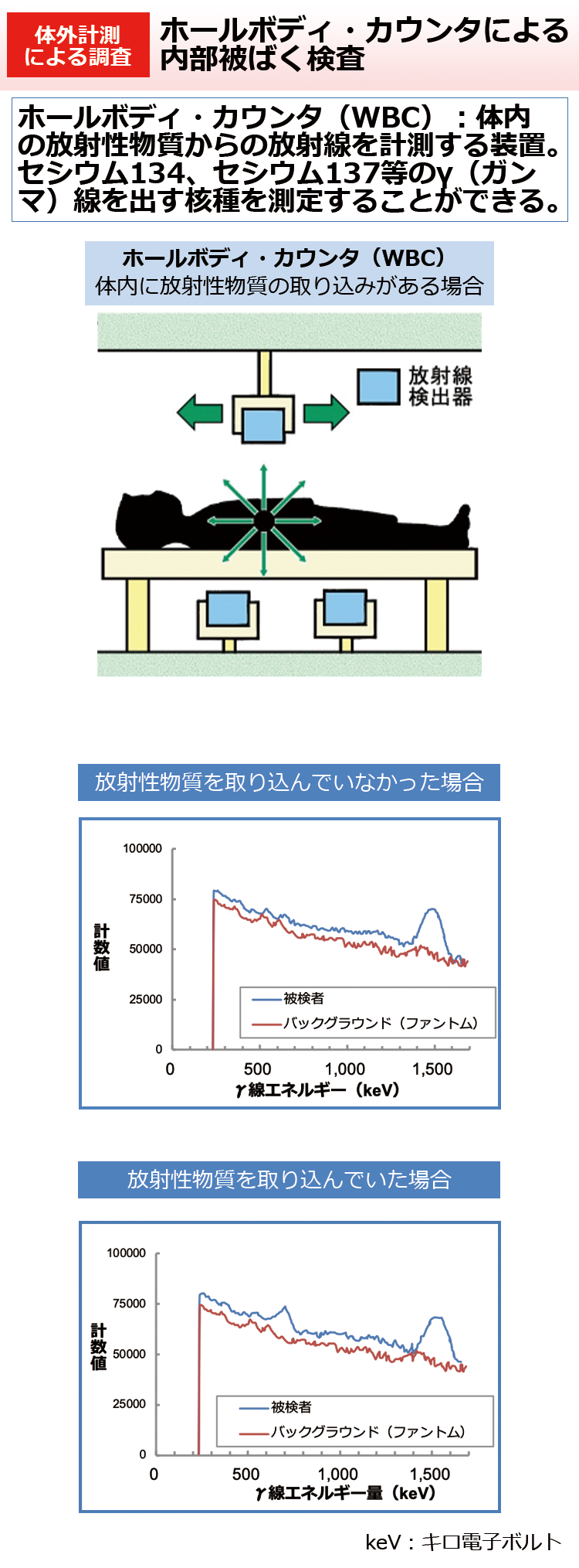 ホールボディ・カウンタによる内部被ばく検査