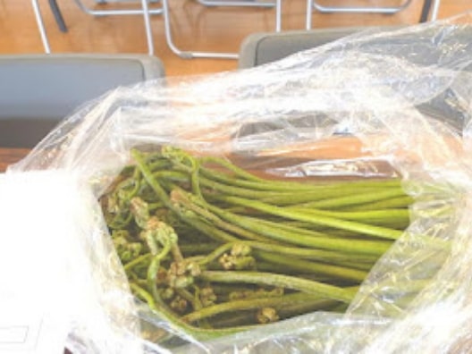 食品の放射能濃度測定の様子