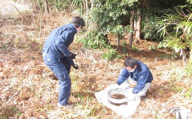 実務に関する支援の様子