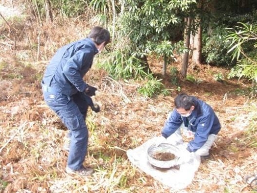 土壌採取の様子