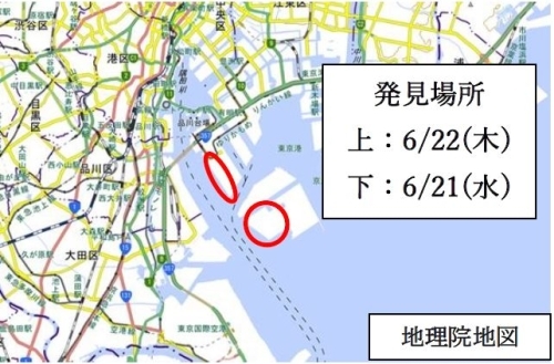 ヒアリが確認された場所の地図