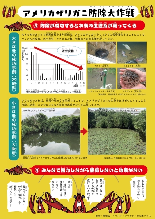 アメリカザリガニ防除大作戦 3.4