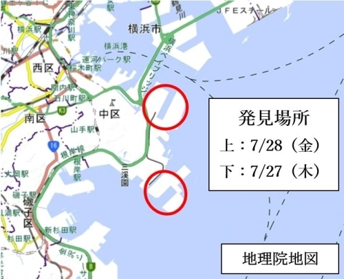 ヒアリが発見された横浜港本牧ふ頭