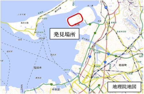 ヒアリが発見された博多港アイランドシティ