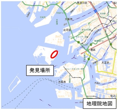 ヒアリが確認された大阪港の地図