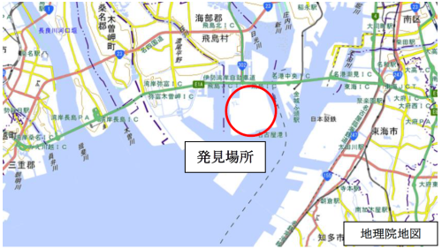 今回ヒアリが確認された場所
