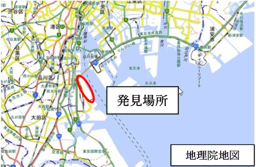 ヒアリが発見された大井ふ頭の地図