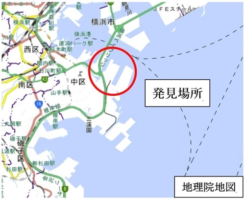 今回ヒアリが確認された場所