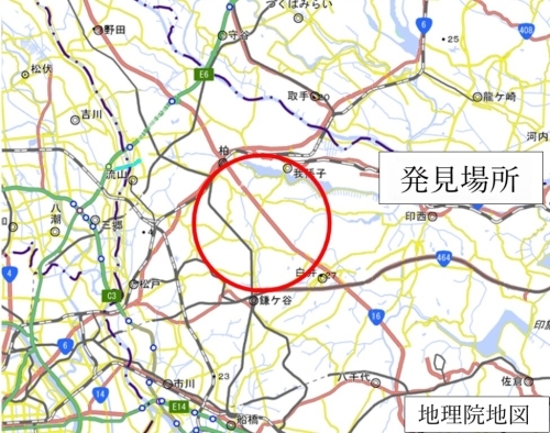 今回ヒアリが確認された場所