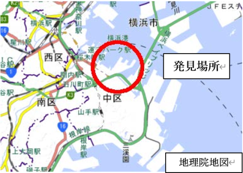 ヒアリが確認された山下ふ頭の地図