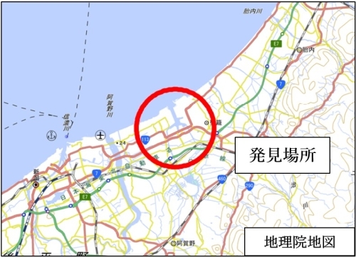 ヒアリが確認された新潟港（東港区）