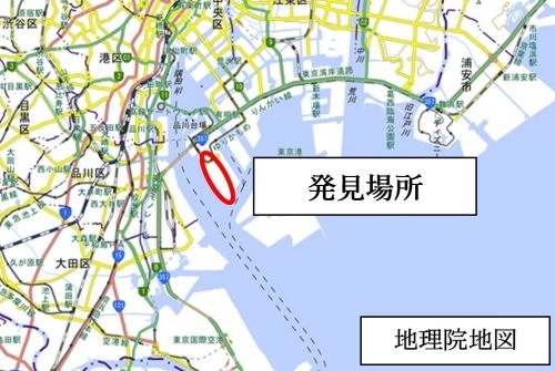 ヒアリが発見された青海ふ頭の地図