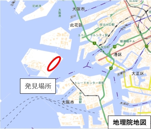 ヒアリが確認された大阪港