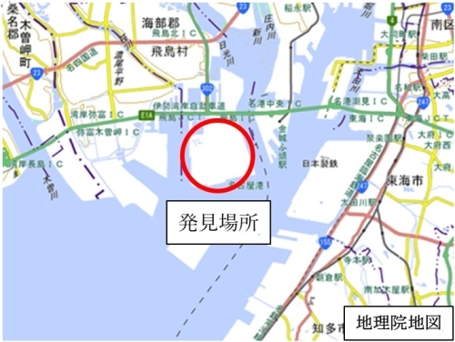 今回アカカミアリが発見された場所