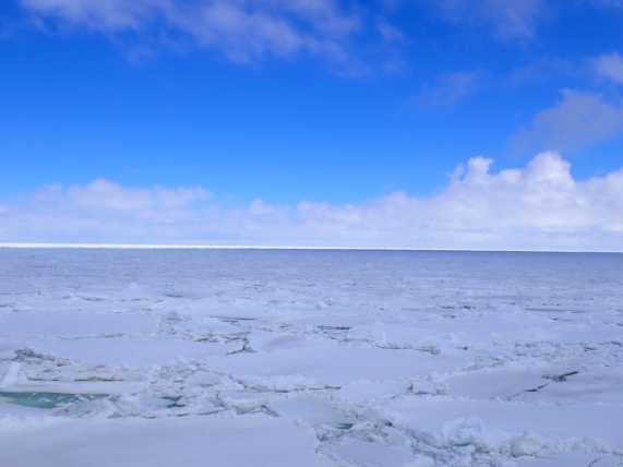 氷の世界がどこまでも広がっています