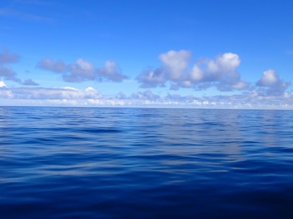 自分の目線より高い水平線