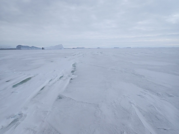 定着氷域に進入