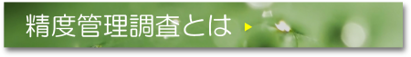 精度管理調査とは