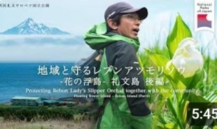 ALTテキスト