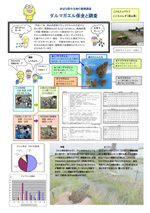 身近な野生生物の観察調査