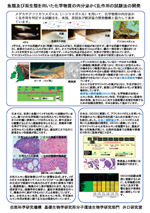 魚類及び両生類を用いた化学物質の内分泌かく乱作用の試験法の開発